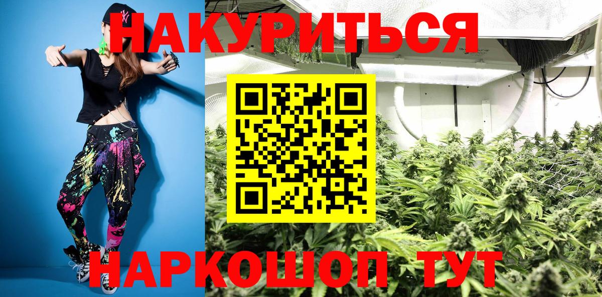 Бошки Шишки марихуана  Канабис план  Вход с VPN  Курган 